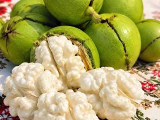 Nueces rumanas – 20 TM/mes Ofrecemos nueces rumanas de