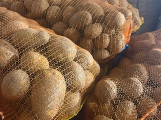 **PATATAS A LA VENTA – BELLAROSA Y CARRERA** Papas
