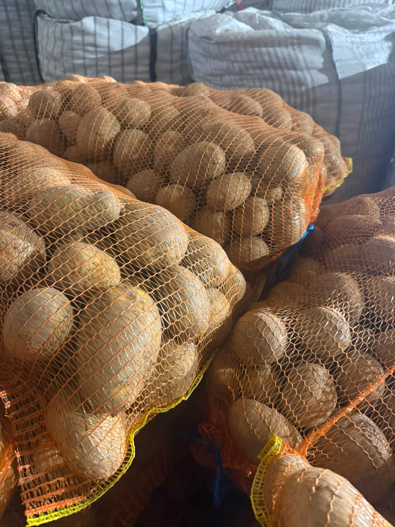 **PATATAS A LA VENTA – BELLAROSA Y CARRERA** Papas de mesa de alta calidad disponibles directamente de nuestra granja en Rumania