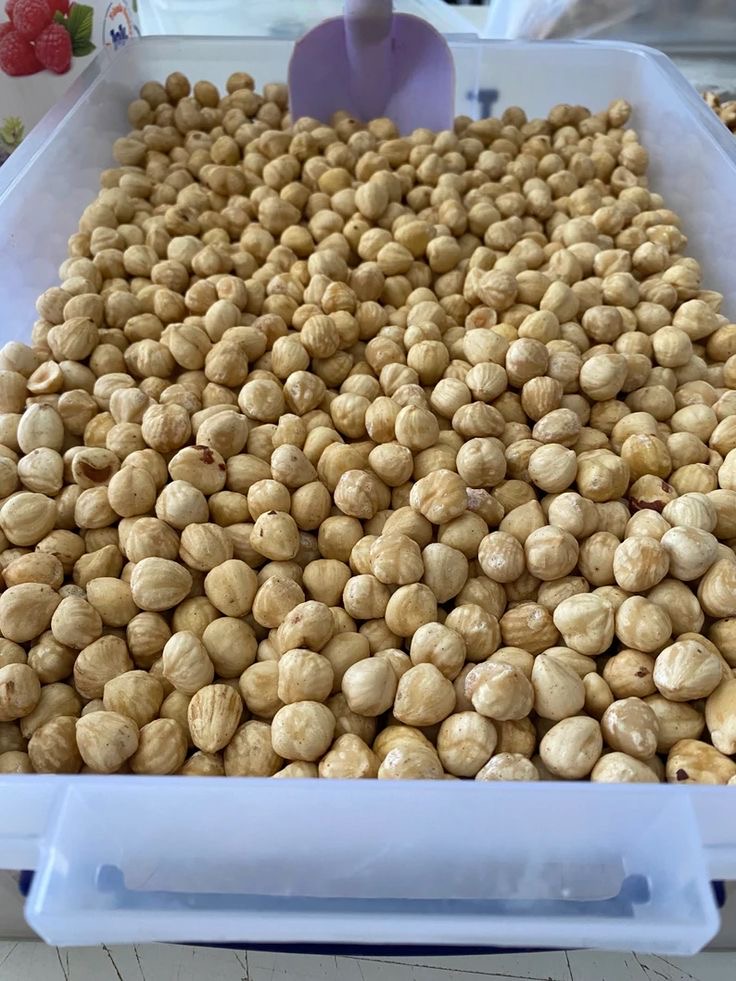 Avellanas turcas blanqueadas de primera calidad (avellanas blancas), sin piel
