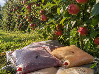 Zumos prensados 5L Sabores disponibles: Manzana 5l 16 PLN
