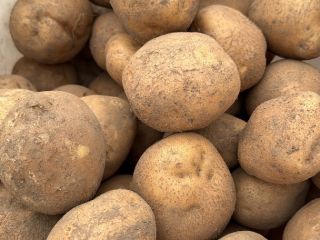 Venderé Vineta comestible a 2 PLN por kg y