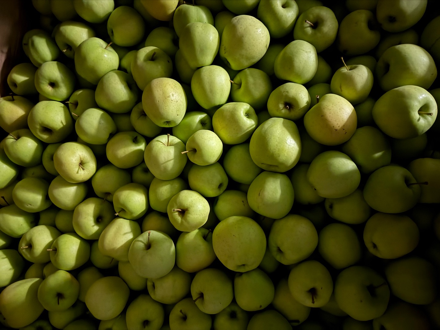 Vendo diferentes variedades de manzanas