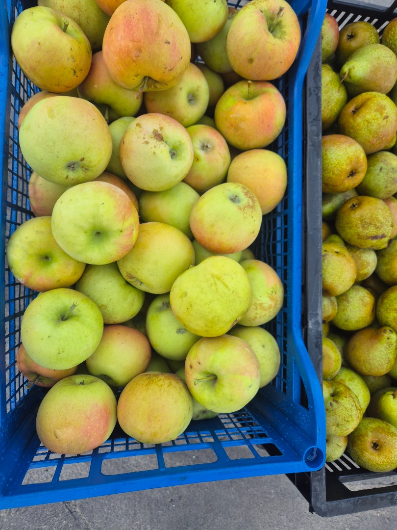 Las manzanas son de una calidad excepcional
