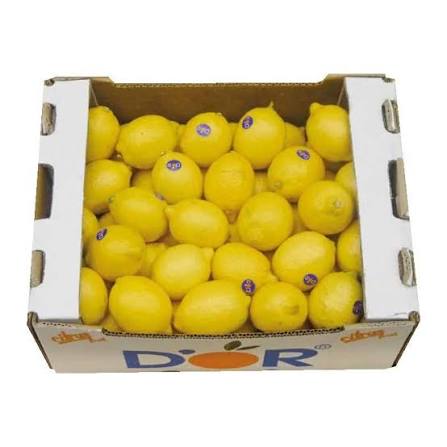La empresa Goicha ofrece limones frescos de origen azerbaiyano para exportación al por mayor