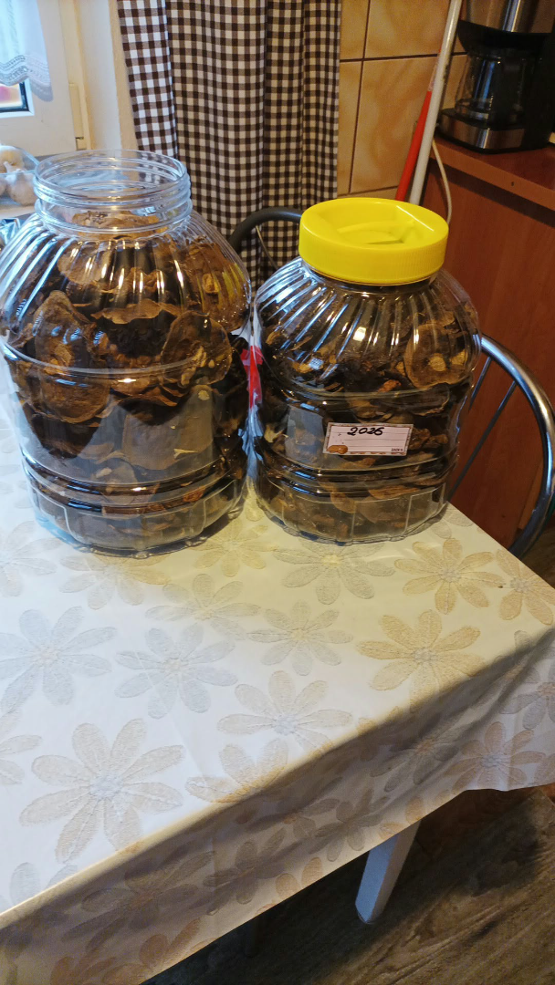 Vendo cabezas de boleto seco de este año