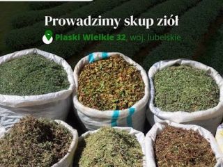 Polskie Zioła se especializa en la obtención y suministro