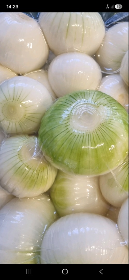 ¡Quisiera comprar cebollas rojas y moradas peladas y listas para cocinar! De 10 a 12 toneladas por semana