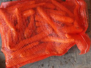 Ofrezco zanahorias frescas de granja a la venta. Nuestras