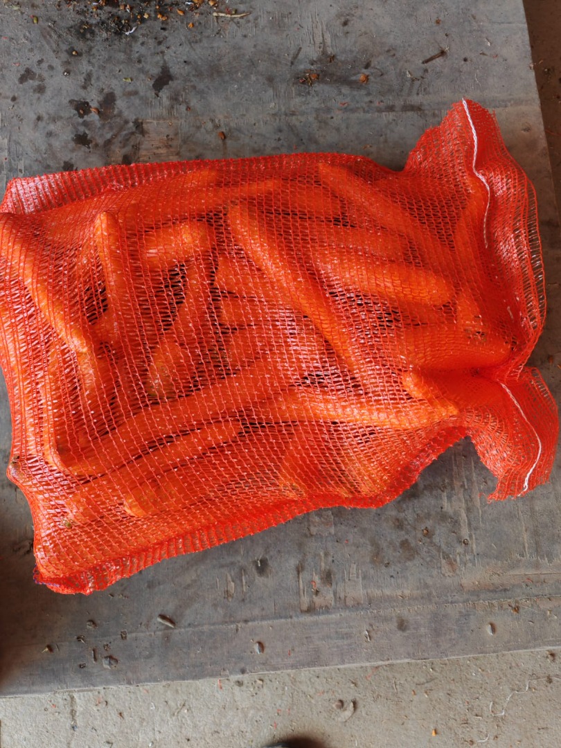 Ofrezco zanahorias frescas de granja a la venta