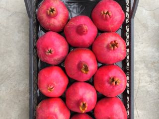 Fruta de origen único, del huerto a su mercado.