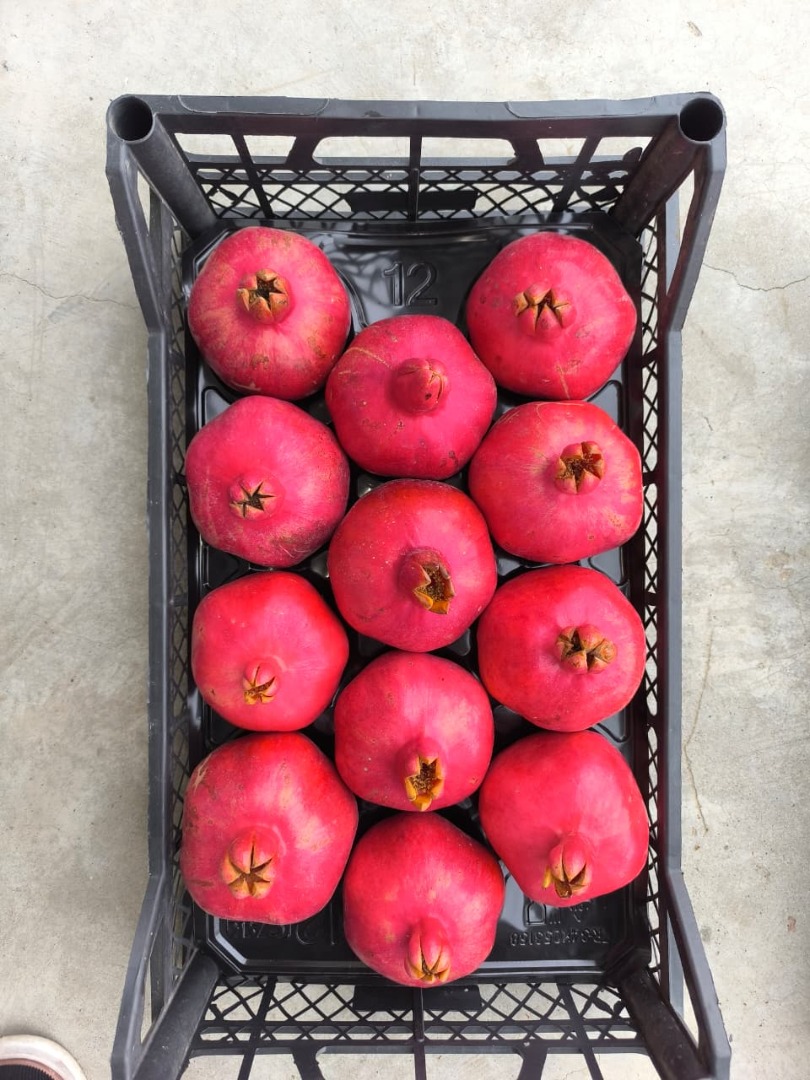 Fruta de origen único, del huerto a su mercado