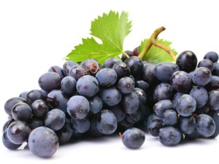 Vendo uvas para vino (sin despalillar, incluido en el
