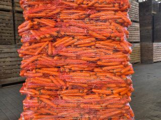 Vendo zanahorias comestibles, lavadas y de un color precioso.