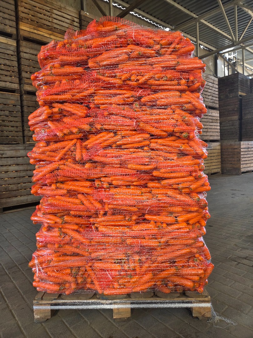 Vendo zanahorias comestibles, lavadas y de un color precioso