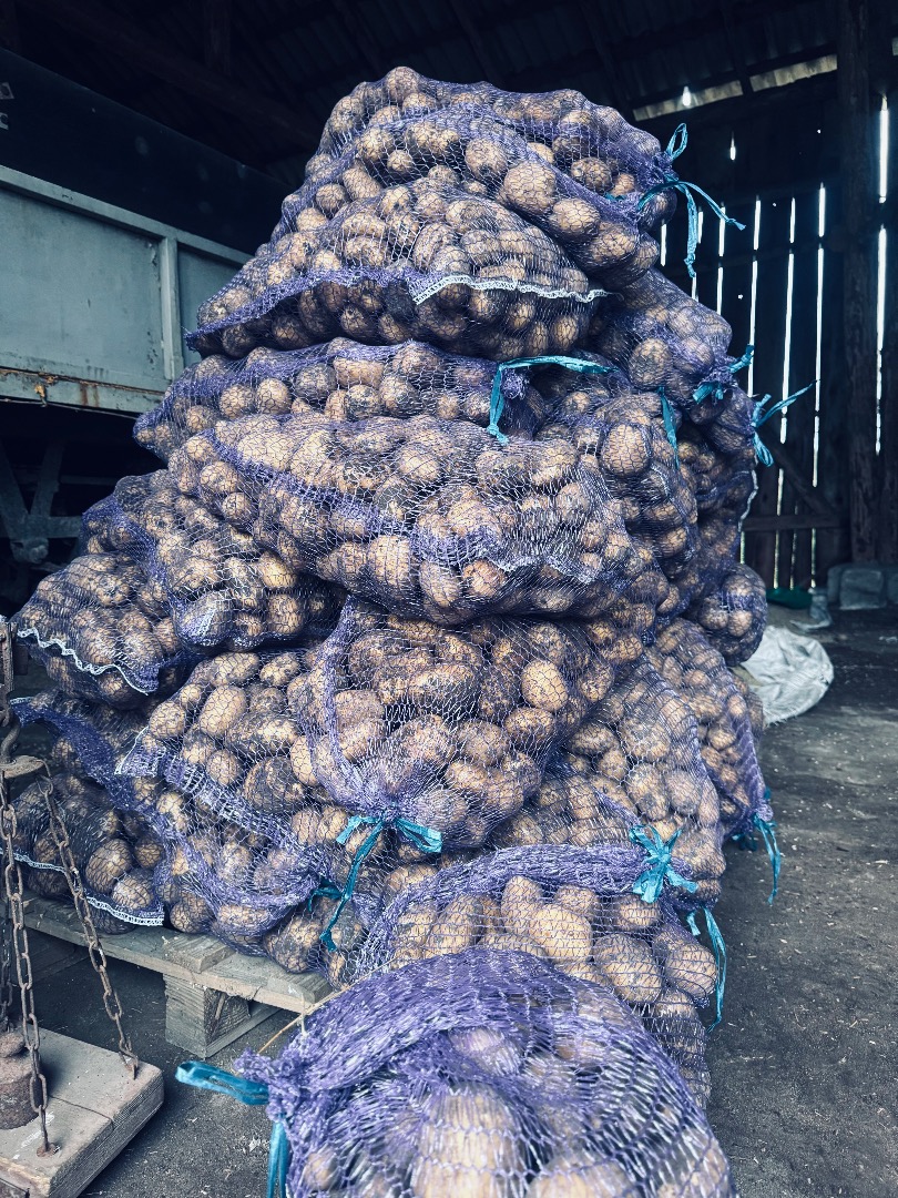 Papas Soraya, tamaño 55+