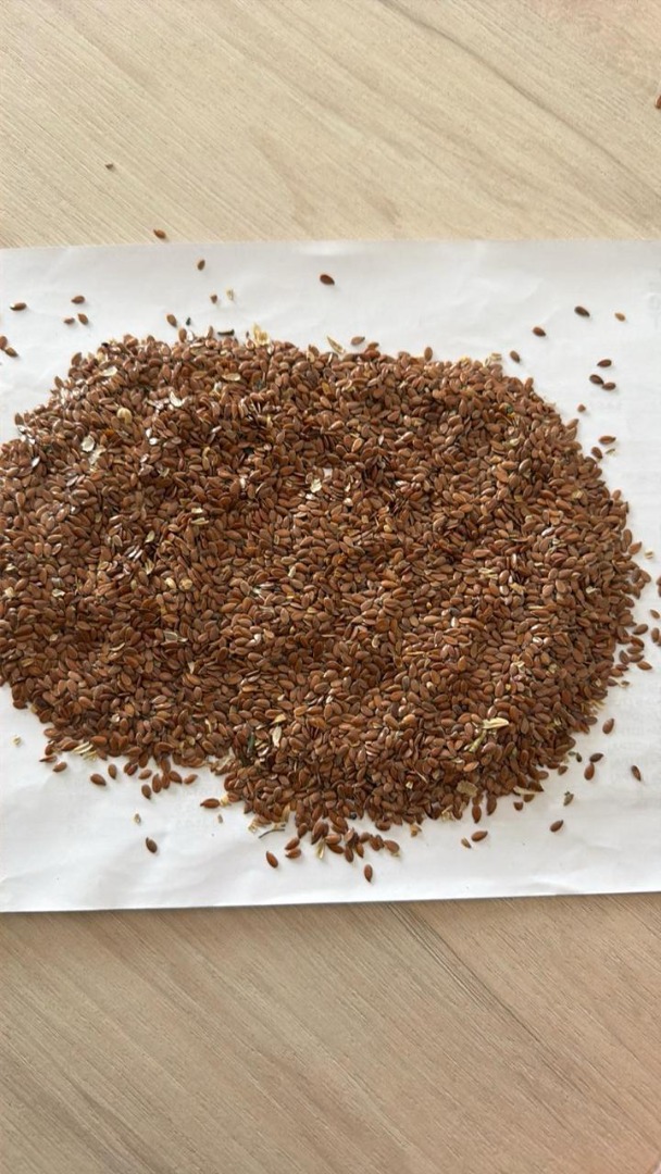 OFERTA: Lino marrón Ofrecemos semillas de lino marrón limpias de primera calidad para la industria alimentaria y de piensos