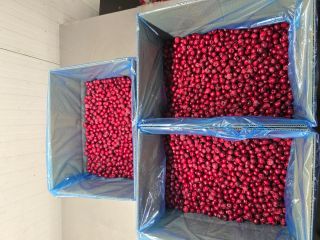 Cerezas ácidas sin hueso IQF 1 cl. Oblacinska
