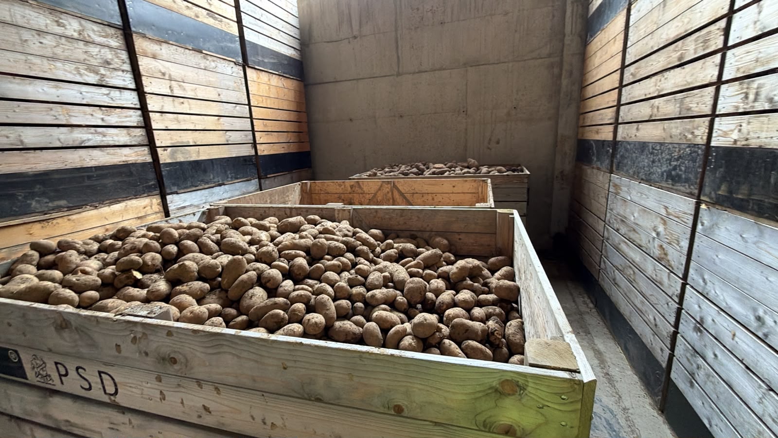 VENTA AL POR MAYOR DE PAPAS – POLONIA Y LA UE