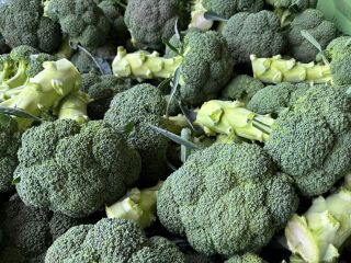 Brócoli en venta. Entregas regulares, proveedor estable.