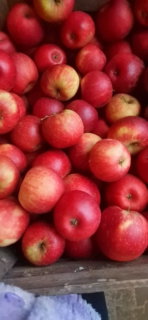 Manzanas de diferentes variedades