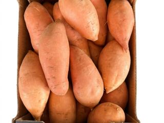 Batatas frescas egipcias premium (variedad Bellevue). Tamaños: M /