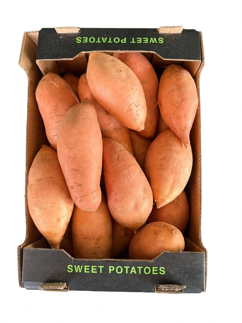 Batatas frescas egipcias premium (variedad Bellevue)