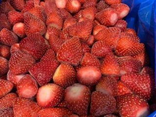 Ofrecemos fresas congeladas, calibradas y sin calibrar, de grado